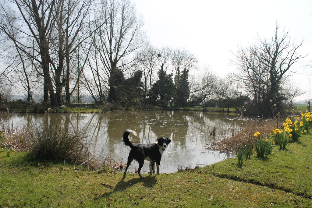 Blatches Farm 3* Great Dunmow